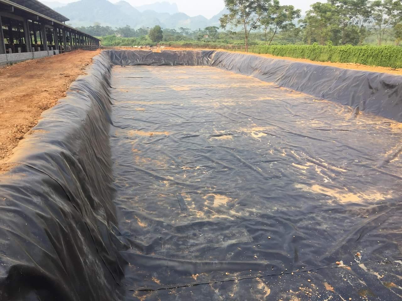 thiết kế bể bạt nuôi cá chuối hoa